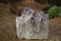 Natural Sugar Amethyst Clusters  x 4 From Solwezi, Zambia