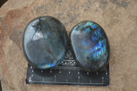 Polished Blue & Gold Labradorite Palm Stones  x 12 From Tulear, Madagascar - Toprock Gemstones and Minerals 