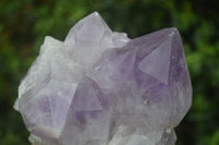 Natural Jacaranda Amethyst Clusters  x 3 From Mumbwa, Zambia - Toprock Gemstones and Minerals 