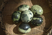 Polished Spotted Leopard Stone Gallets  x 6 From Zimbabwe