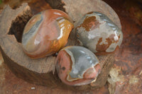 Polished One Side Polished Polychrome Jasper Nodules  x 12 From Mahajanga, Madagascar