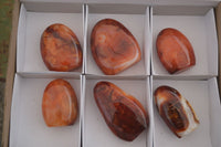 Polished Carnelian Agate Standing Free Forms  x 6 From Madagascar - Toprock Gemstones and Minerals 