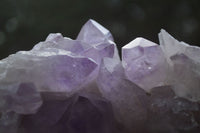 Natural Jacaranda Amethyst Clusters  x 2 From Zambia - Toprock Gemstones and Minerals 