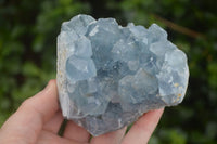 Natural Blue Celestite Crystal Specimens  x 3 From Sakoany, Madagascar - Toprock Gemstones and Minerals 