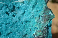 Natural Silica Chrysocolla Specimen x 1 From Congo