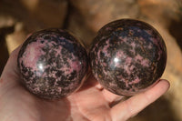 Polished  Pink & Black Rhodonite Spheres x 3 From Madagascar