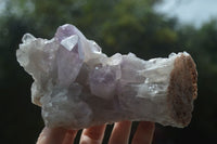 Natural Jacaranda Amethyst Clusters  x 3 From Zambia - Toprock Gemstones and Minerals 