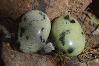 Polished Spotted Leopard Stone Free Forms  x 12 From Zimbabwe