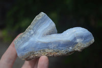 Natural Blue Lace Agate Geode Specimens  x 12 From Nsanje, Malawi - Toprock Gemstones and Minerals 