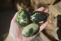 Polished Spotted Leopard Stone Gallets  x 6 From Zimbabwe