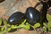 Polished Black Basalt Gemstone Eggs x 6 From Antsirabe, Madagascar