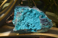 Natural Silica Chrysocolla Specimen x 1 From Congo