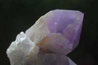 Natural Jacaranda Amethyst Clusters  x 3 From Zambia - Toprock Gemstones and Minerals 