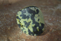 Polished Spotted Leopard Stone Free Forms  x 12 From Zimbabwe