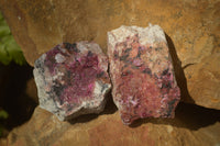 Natural Salrose Cobaltion Dolomite Specimens x 12 From Kakanda, Congo