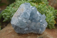 Natural Blue Celestite Crystal Specimens  x 3 From Sakoany, Madagascar - Toprock Gemstones and Minerals 