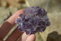 Natural Dark Amethyst Crystal Clusters  x 12 From Zambia