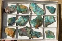 Natural Rough Blue Shattuckite Specimens  x 12 From Namibia - TopRock