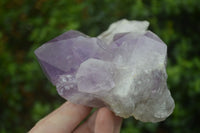 Natural Jacaranda Amethyst Clusters  x 3 From Mumbwa, Zambia - Toprock Gemstones and Minerals 