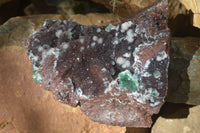 Natural Drusy Quartz Coated Malachite On Red Copper Dolomite  x 1 From Likasi, Congo - Toprock Gemstones and Minerals 