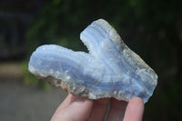 Natural Blue Lace Agate Geode Specimens  x 12 From Nsanje, Malawi - Toprock Gemstones and Minerals 