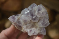 Natural Sugar Amethyst Clusters  x 4 From Solwezi, Zambia