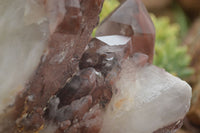 Natural Red Hematoid Quartz Specimen x 1 From Karoi, Zimbabwe - TopRock