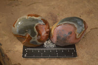 Polished One Side Polished Polychrome Jasper Nodules  x 12 From Mahajanga, Madagascar