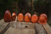 Polished Carnelian Agate Standing Free Forms  x 6 From Madagascar - Toprock Gemstones and Minerals 