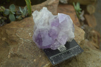 Natural Jacaranda Amethyst Clusters  x 3 From Mumbwa, Zambia - Toprock Gemstones and Minerals 