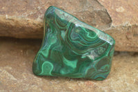 Polished Flower Malachite Free Forms  x 6 From Congo - Toprock Gemstones and Minerals 