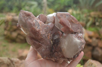 Natural Red Hematoid Quartz Specimen x 1 From Karoi, Zimbabwe - TopRock