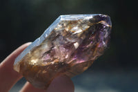 Natural New Window Amethyst Crystals  x 6 From KZN, South Africa - Toprock Gemstones and Minerals 