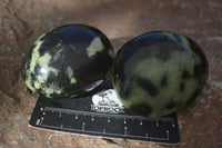 Polished Spotted Leopard Stone Gallets  x 6 From Zimbabwe