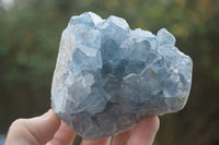 Natural Blue Celestite Crystal Specimens  x 3 From Sakoany, Madagascar - Toprock Gemstones and Minerals 