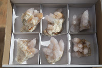 Natural Spirit Amethyst Quartz Clusters x 6 From Boekenhouthoek, South Africa