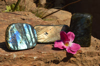 Polished Labradorite Standing Free Forms With Intense Blue & Gold Flash x 3 From Sakoany, Madagascar - TopRock