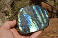 Polished Labradorite Standing Free Forms With Intense Blue & Gold Flash x 3 From Sakoany, Madagascar - TopRock