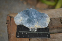 Natural Blue Celestite Crystal Specimens  x 3 From Sakoany, Madagascar - Toprock Gemstones and Minerals 