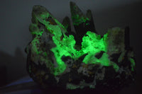 Natural Fluorescent Hyalite Opal Specimen  x 1 From Erongo, Namibia