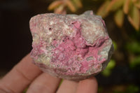 Natural Salrose Cobaltion Dolomite Specimens x 12 From Kakanda, Congo