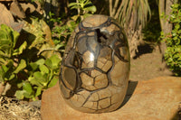 Polished Stunning Septerye Sauvage Dragons Egg x 1 From Mahajanga, Madagascar - TopRock