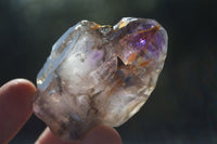 Natural New Window Amethyst Crystals  x 6 From KZN, South Africa - Toprock Gemstones and Minerals 