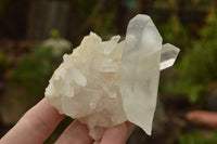 Natural Small Mixed Quartz Clusters & Crystals  x 24 From Madagascar - TopRock