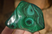 Polished Flower Malachite Free Forms  x 6 From Congo - Toprock Gemstones and Minerals 