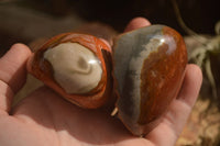 Polished One Side Polished Polychrome Jasper Nodules  x 12 From Mahajanga, Madagascar