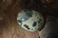 Polished Spotted Leopard Stone Gallets  x 6 From Zimbabwe