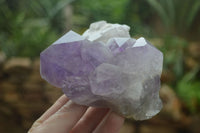 Natural Jacaranda Amethyst Clusters  x 3 From Mumbwa, Zambia - Toprock Gemstones and Minerals 