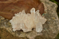 Natural Small Mixed Quartz Clusters & Crystals  x 24 From Madagascar - TopRock