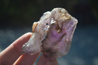 Natural New Window Amethyst Crystals  x 6 From KZN, South Africa - Toprock Gemstones and Minerals 